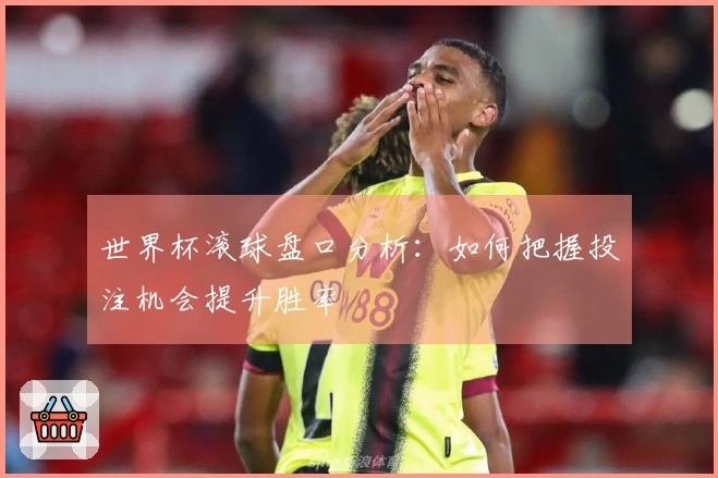 世界杯滚球盘口分析：如何把握投注机会提升胜率