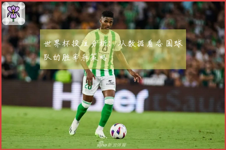 世界杯投注分析：从数据看各国球队的胜率和策略
