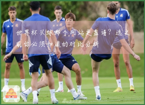 世界杯买球哪个网站更靠谱？选之前你必须知道的对比分析