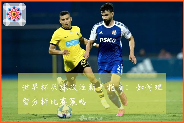 世界杯买球投注新手指南：如何理智分析比赛策略