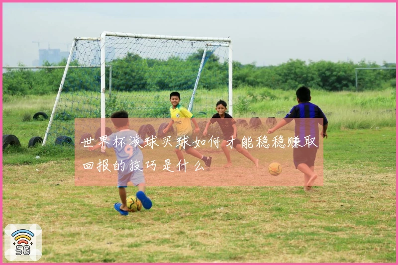 世界杯滚球买球如何才能稳稳赚取回报的技巧是什么
