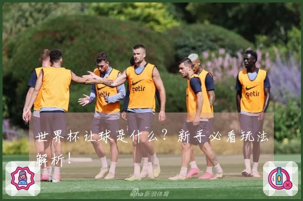 世界杯让球是什么?新手必看玩法解析!