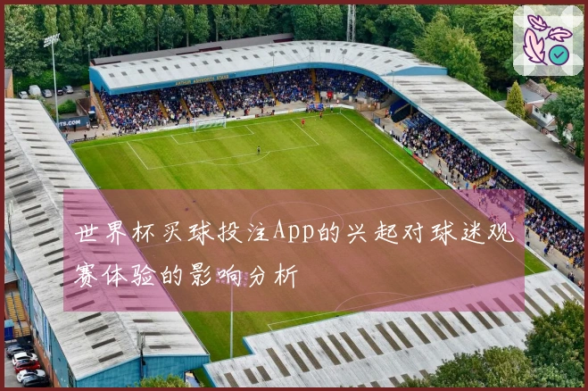 世界杯买球投注App的兴起对球迷观赛体验的影响分析