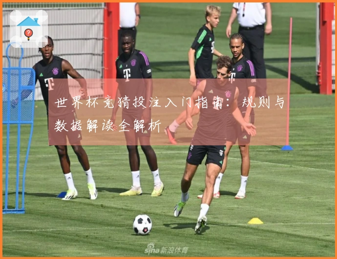 世界杯竞猜投注入门指南：规则与数据解读全解析