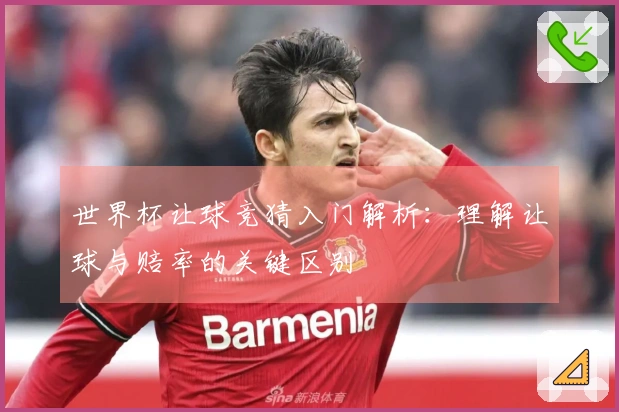 世界杯让球竞猜入门解析：理解让球与赔率的关键区别