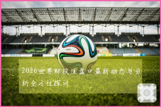 2026世界杯投注盘口最新动态与分析全方位探讨