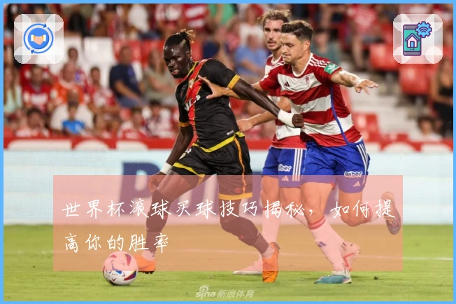 世界杯滚球买球技巧揭秘，如何提高你的胜率